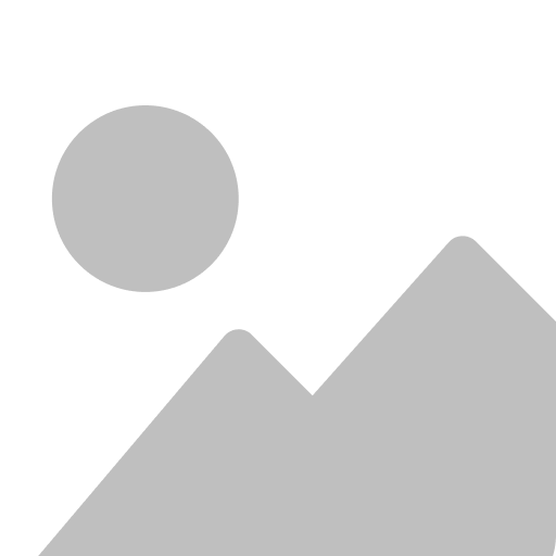 SINGAPORE ENGINEERS (PTE) LTD